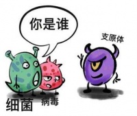 南昌华儿山生殖小课堂 支原体感染影响备孕吗