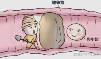想怀孕,如何远离输卵管堵塞?南京长江夏娟给你科普
