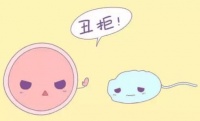 试管移植后身体会有什么反应？哪些现象可能是假孕的症状？