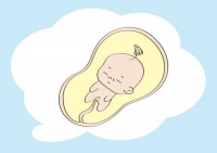 排卵才可以受孕,那绝经的女性可以正常做试管吗?