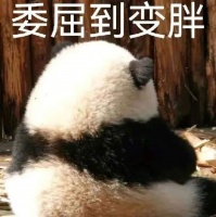 原创 笑话十条:备孕四个月终于看到了验孕棒上的两道杠