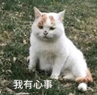 甜蜜不重糖,糖友备孕有秘笈!
