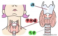 为何女性在备孕前医生建议要做甲状腺功能检查?原因竟然是这样!
