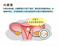 当“内膜薄”遇见备孕之路