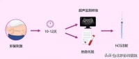 协和医生带您吃出健康 | 促排卵期间和取卵前后,应该怎么吃?
