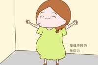 兰州天伦生育科普:备孕期间如何增强免疫力?