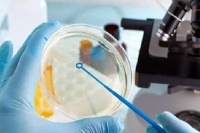 禾孕嘉丨43岁女性试管婴儿挑战:着床难题致怀孕几率降低