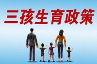 国家出台最新鼓励生育政策:生孩子有福了,备孕妈妈蔓越莓益生菌吃起来