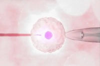禾孕嘉丨高龄女性做三代试管：低染色体异常率，开启孕育新希望