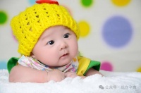 【籽多多】备孕期间怕孤单养小动物?一篇文章告诉你有哪些注意事项