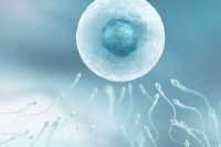 禾孕嘉丨试管婴儿男性备孕全攻略