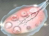 禾孕嘉丨卵泡成熟不了?原因和改善方法都在这里!