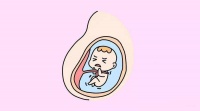 35岁以上的大龄女性做试管治疗前该如何科学备孕?