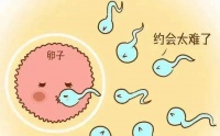 卵泡发育不良的表现和原因有哪些?需要如何进行调理?