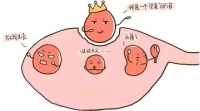 对多囊的姐妹来说,怎样能调理出优势卵泡?