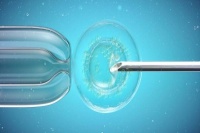 禾孕嘉丨女性冻卵:把握最佳年龄,了解35岁上下活产率差异