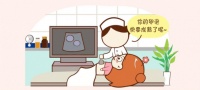 关于B超监测卵泡的那些事儿