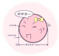 5大生活习惯养出好卵子,更快升级当妈!