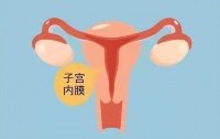 备孕时,子宫内膜并非越厚越好
