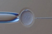禾孕嘉丨胚胎移植着床成功:精准信号解析及恶心呕吐等可能症状