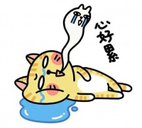 6年备孕+输卵管反复堵,在玛丽圆梦了!