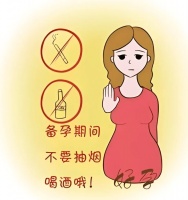 备孕中的女性如何养出高质量的卵子?