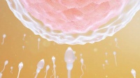 老公不行怎么备孕?子宫肌瘤能直接备孕吗?…听好孕宝典!