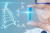 禾孕嘉丨基础卵泡与优势卵泡的区别及优势卵泡的形成过程
