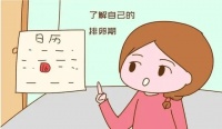 女人什么时候是排卵期高峰?想要自然怀孕这样作最快