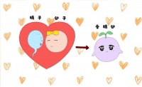 南京长江提醒:备孕女性必看!5 个养出「黄金卵子」的硬核攻略