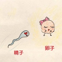 #学习分享254#备孕优生4:什么姿势更有助于受孕?排卵监测又有哪些方法?