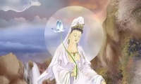 备孕最佳时间表2025年生龙备孕指南