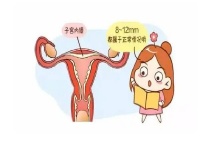 排卵期内膜6毫米对胚胎着床有哪些影响