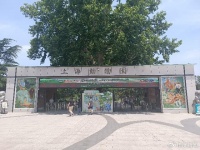 上海动物园回应婴儿展厅喝奶被制止 称展品多为纸质需保护