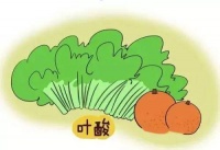 备孕为什么要提前3个月？很多人都不知道原因！