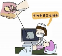 【健康科普】告别盲目备孕！卵泡监测助你科学“好孕”