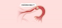 输卵管通而不畅：到底是堵了还是没堵？