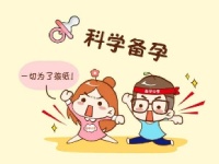 科学备孕为什么是提前三个月呢?爱宝来为您解答