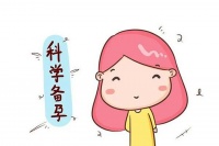 备孕吃什么容易怀孕,红云麦和贝几西备孕吃