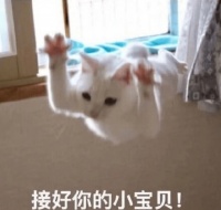 备孕那些事儿：普通人备孕要做些什么？