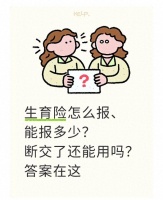 《生育险全攻略：报销、断交、流程一网打尽，备孕家庭必看！》