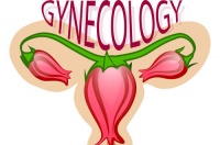 备孕三维超声能查啥？备孕体检，三维超声来助力 —平创医疗