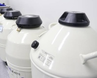 泰国知名女演员 Peak Pattarasaya在泰国NIC试管咨询生育！