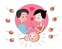 男性备孕遇生育困扰？4 个日常调理方向，科学助力改善精子状态