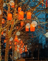 备孕半年无果，中医调子时养阴后月经准了、老公睡得香