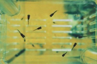 备孕男性别忽视，提升生精质量与活力的科学实用方法要记牢！