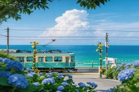 备孕多年不成功，该如何调整心态？学会这 4 点，轻装前行迎好孕