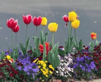 高龄备孕别焦虑！做好这6项准备！