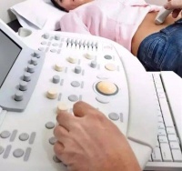 几个窦卵泡是正常的