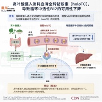 吃叶酸吃出月经紊乱？你可能从第一步就走错了（上）